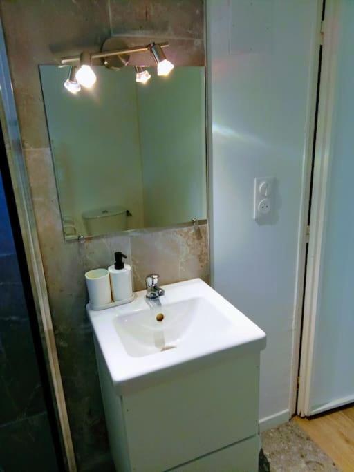 אמבואה Charmant Loft Avec Jardin Pres Du Centre Ville מראה חיצוני תמונה